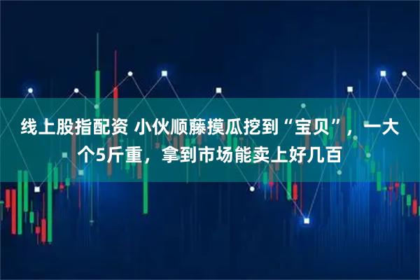 线上股指配资 小伙顺藤摸瓜挖到“宝贝”，一大个5斤重，拿到市场能卖上好几百